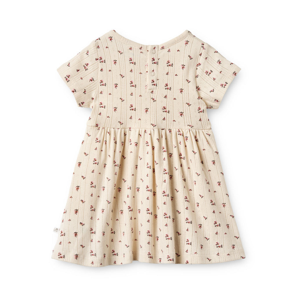 Tiny One Baby Dress S/S, Pointelle AOP Dress 313 Moonbeam AOP