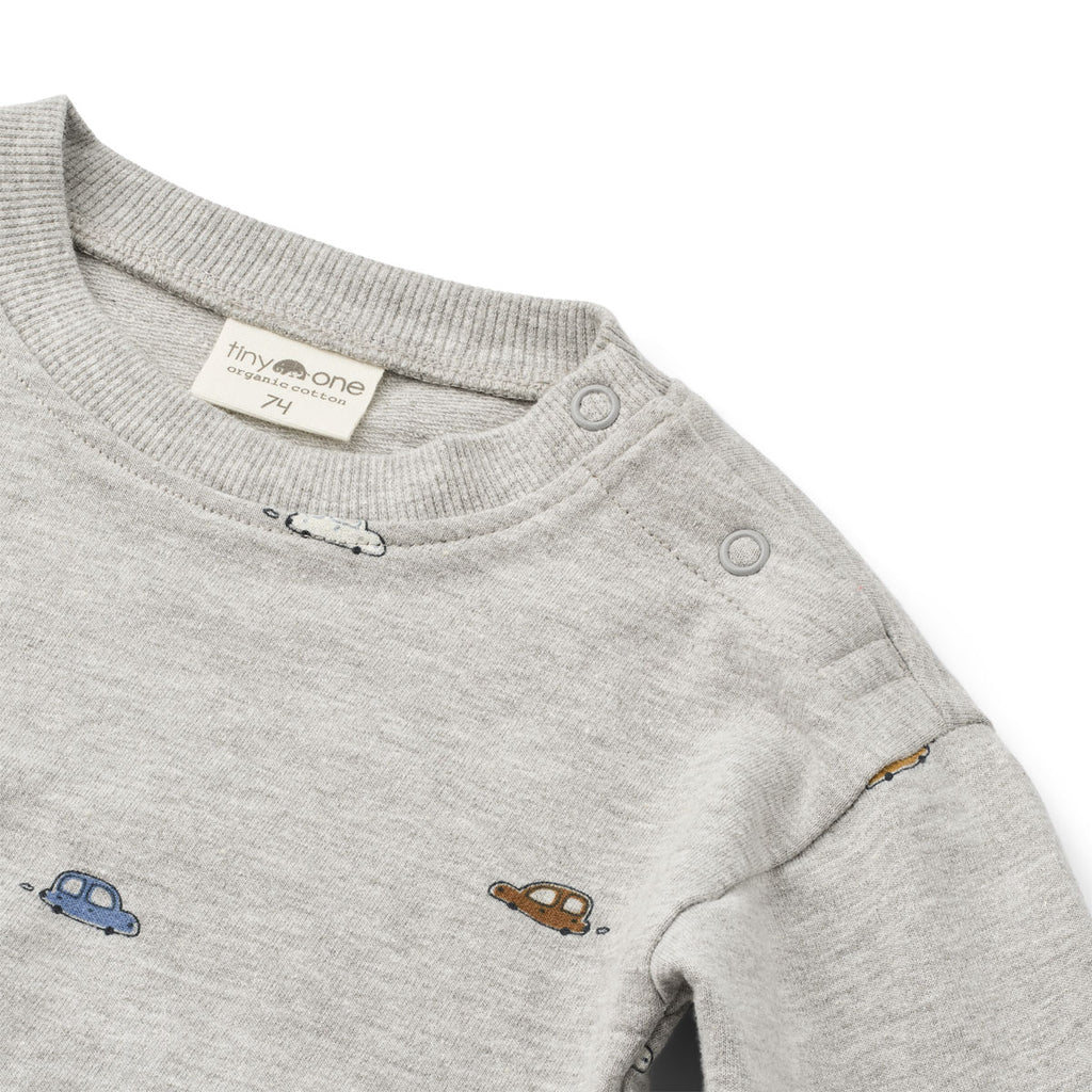 Tiny One Tiny One Baby Boys Sweat Set 2-pcs Multipack